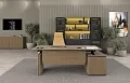 Кабинет руководителя Ион