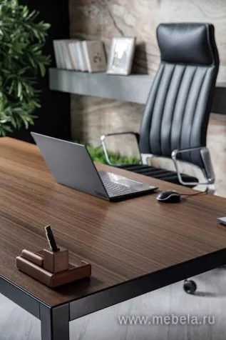 кабинет Энцо Блэк