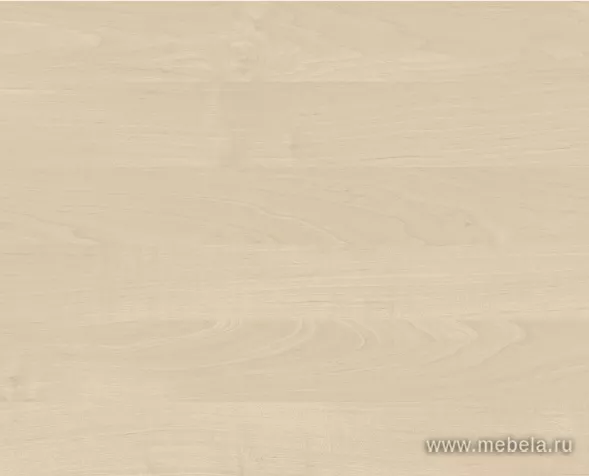 кабинет Фёст Клён 