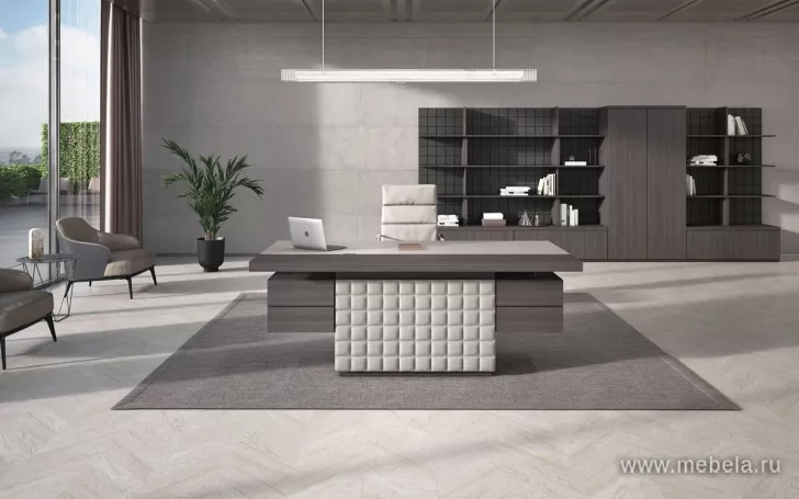 кабинет Антей