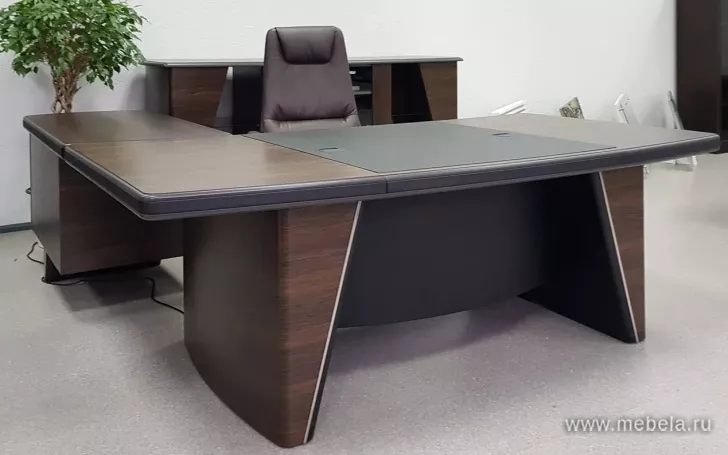 кабинет Ньютон