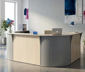 ресепшн Рива Клён М