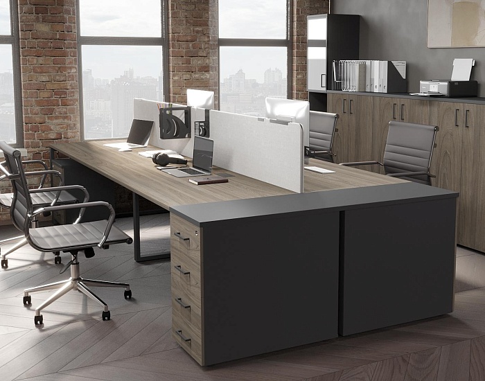 фото мебель Проджект Вяз					 №4					